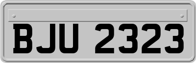 BJU2323