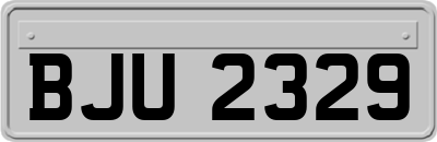 BJU2329