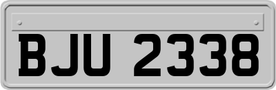 BJU2338