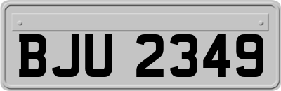 BJU2349