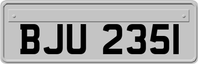 BJU2351