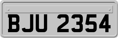 BJU2354