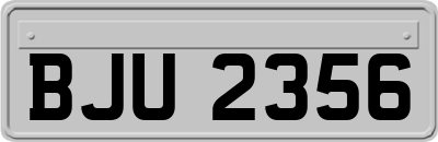 BJU2356