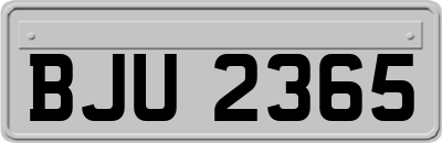 BJU2365