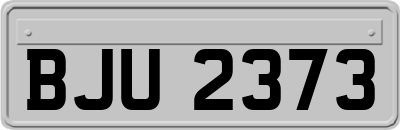 BJU2373