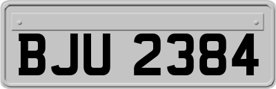 BJU2384