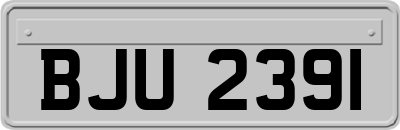 BJU2391