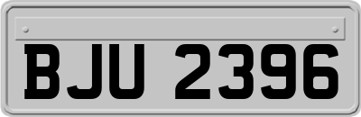 BJU2396