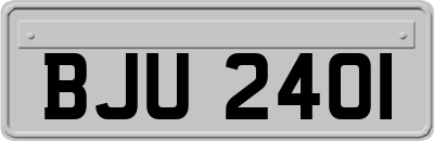 BJU2401