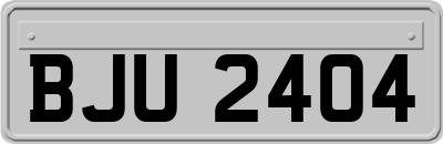 BJU2404
