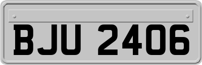 BJU2406