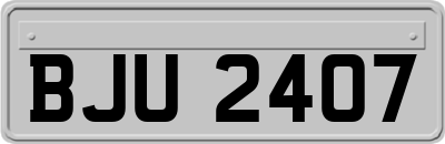 BJU2407