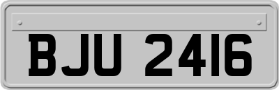 BJU2416