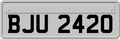 BJU2420