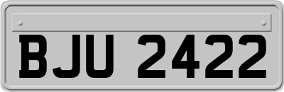 BJU2422