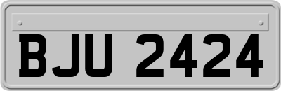 BJU2424