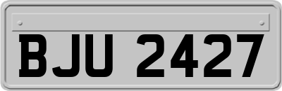 BJU2427
