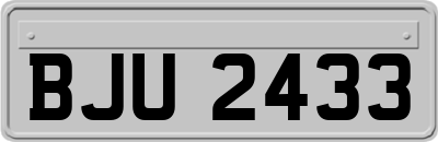BJU2433