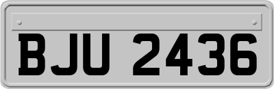 BJU2436
