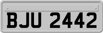 BJU2442