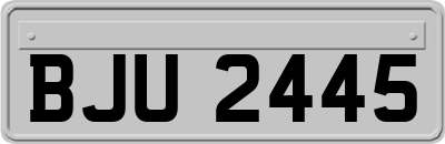 BJU2445