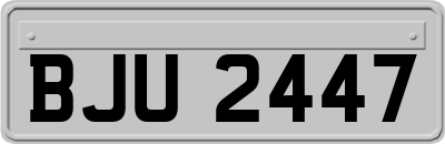 BJU2447