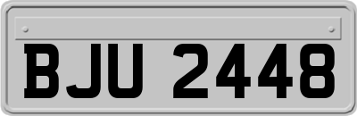 BJU2448