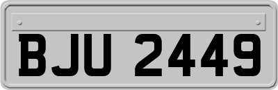BJU2449