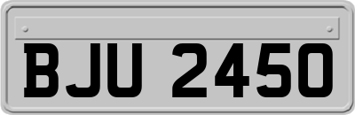 BJU2450