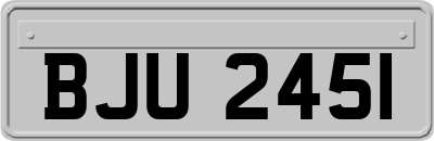 BJU2451