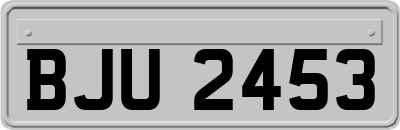 BJU2453