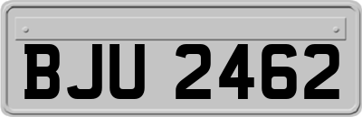 BJU2462