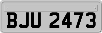 BJU2473