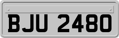 BJU2480