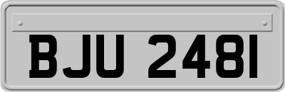 BJU2481