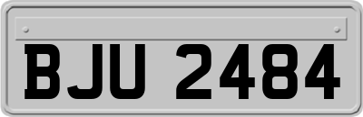 BJU2484