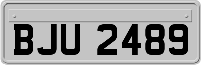 BJU2489