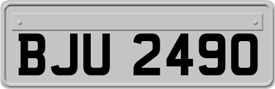 BJU2490