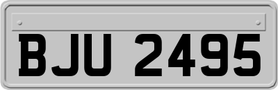 BJU2495