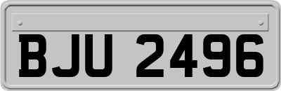 BJU2496