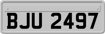 BJU2497