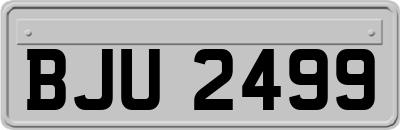 BJU2499