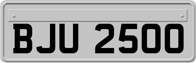 BJU2500