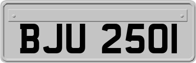 BJU2501