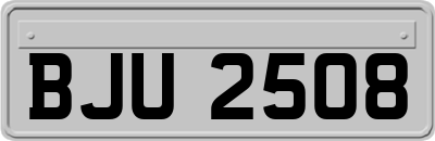BJU2508