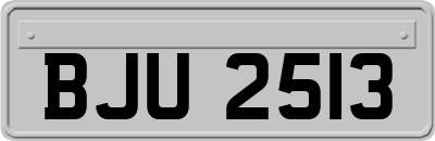 BJU2513