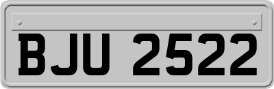 BJU2522