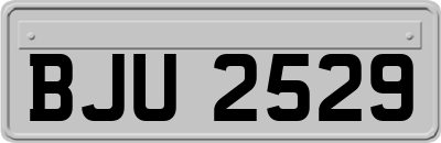 BJU2529