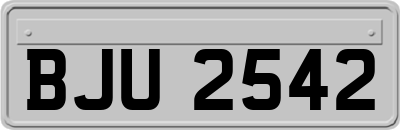 BJU2542