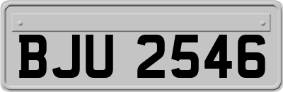 BJU2546